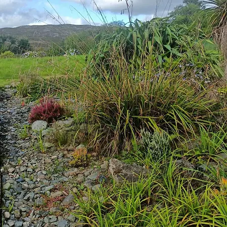 Swallows Nest * Glanbannoo Upper